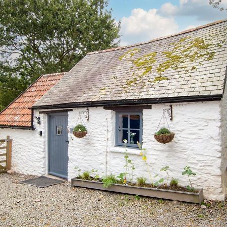 Love Cottage Combe Martin Ngoại thất bức ảnh